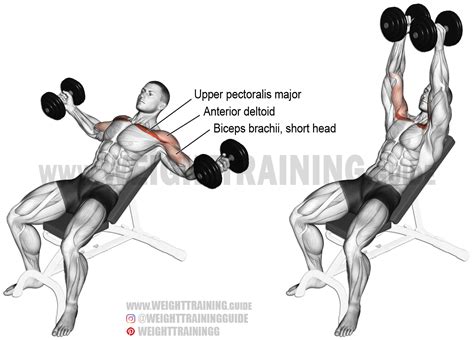 Dumbbell Flys Video Exercise Guide